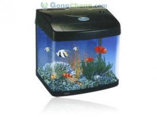 供應生態魚缸與水族箱配件及技術轉讓一站式解決方案